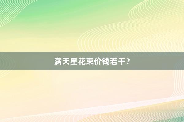 满天星花束价钱若干？