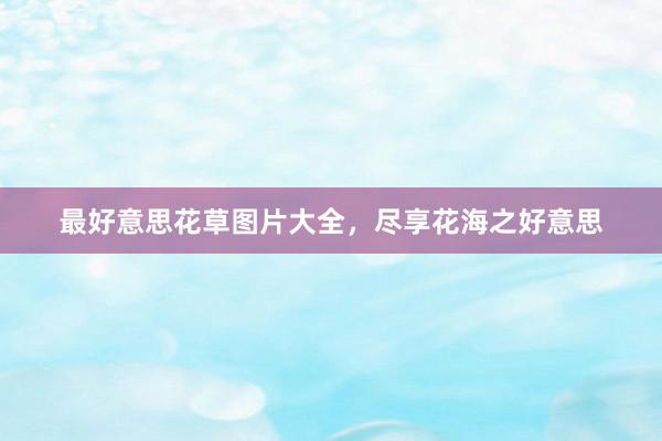 最好意思花草图片大全，尽享花海之好意思
